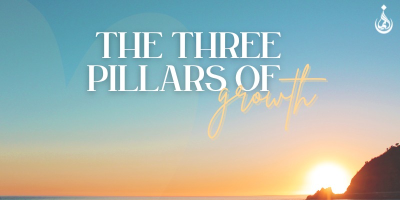 The Three Pillars of Growth